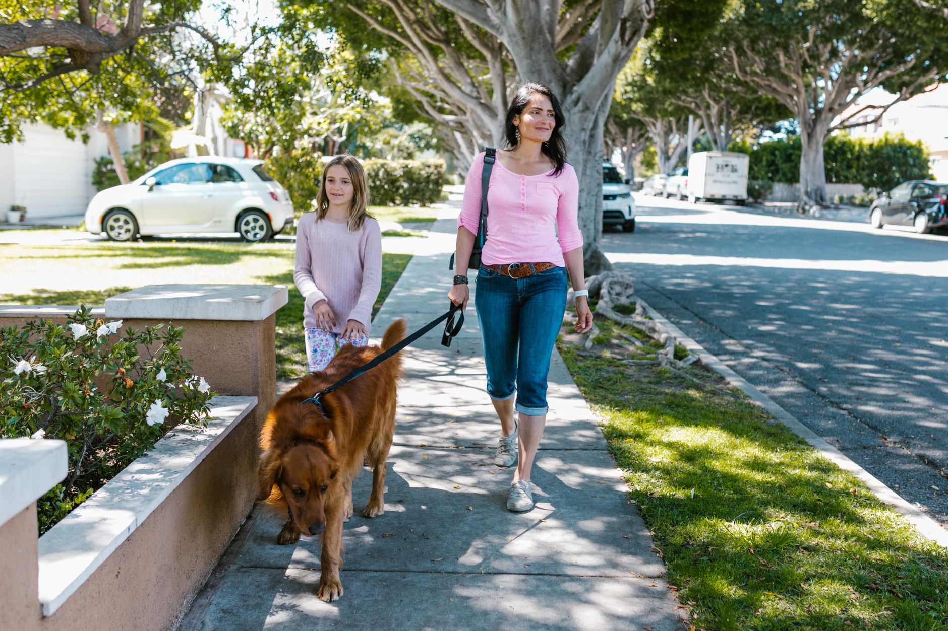 Dog Walking